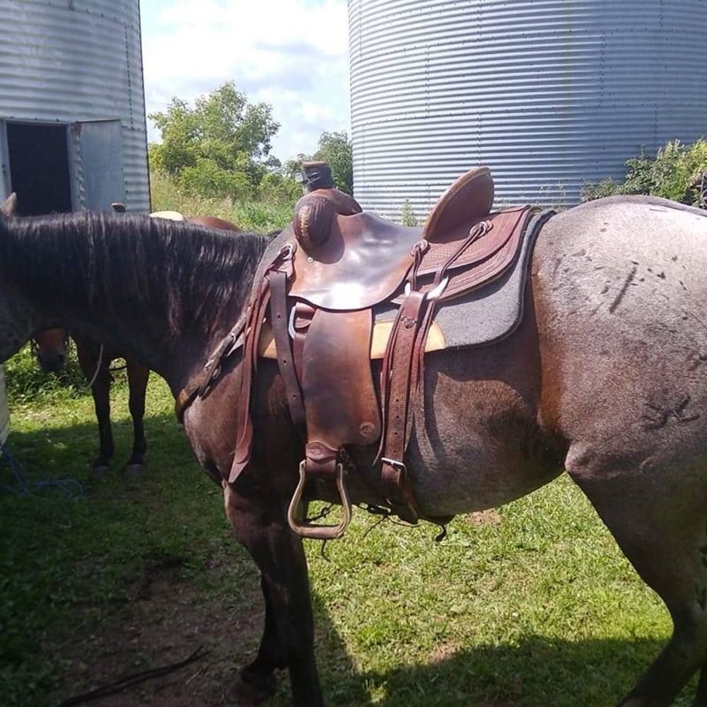 Meet your Posher, Judean